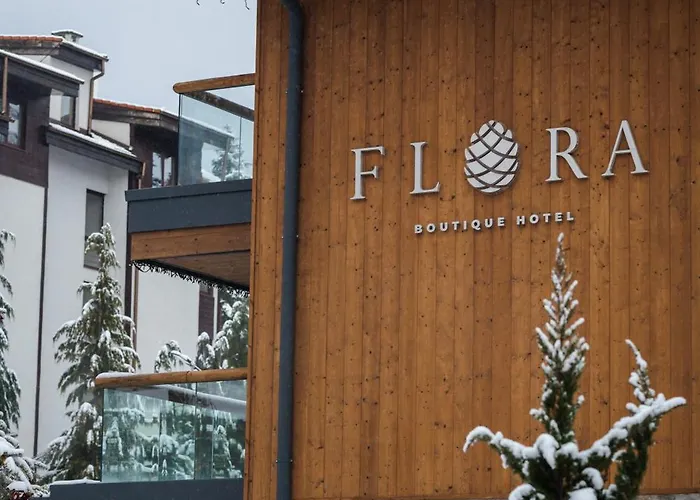 ホテル Flora Boutique ボロヴェッツ