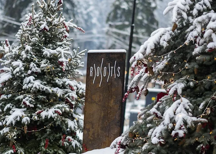 ホテル Flora Boutique ボロヴェッツ